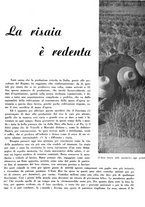 giornale/CFI0350904/1938/unico/00000406