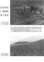 giornale/CFI0350904/1938/unico/00000421