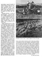 giornale/CFI0350904/1938/unico/00000427