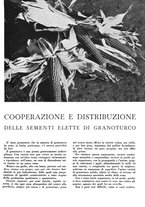 giornale/CFI0350904/1938/unico/00000499