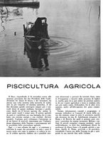 giornale/CFI0350904/1938/unico/00000550