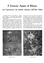 giornale/CFI0350904/1938/unico/00000554