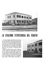 giornale/CFI0350904/1938/unico/00000762