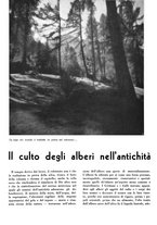 giornale/CFI0350904/1938/unico/00000770