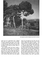 giornale/CFI0350904/1938/unico/00000771