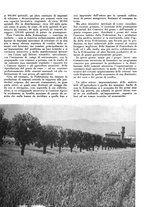 giornale/CFI0350904/1939/unico/00000037