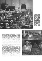 giornale/CFI0350904/1939/unico/00000103