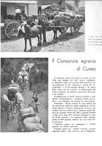 giornale/CFI0350904/1939/unico/00000218