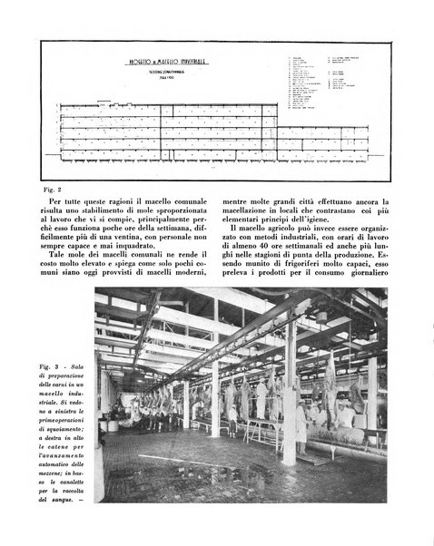 Cooperazione rurale rivista mensile