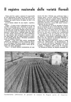 giornale/CFI0350904/1939/unico/00000412