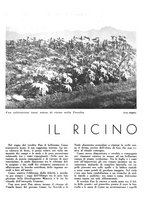 giornale/CFI0350904/1939/unico/00000505