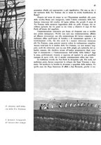 giornale/CFI0350904/1939/unico/00000525