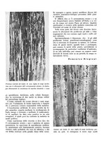 giornale/CFI0350904/1939/unico/00000553