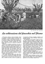 giornale/CFI0350904/1939/unico/00000646