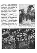 giornale/CFI0350904/1939/unico/00000647