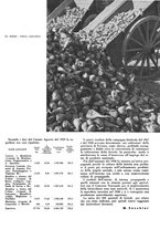 giornale/CFI0350904/1940/unico/00000019