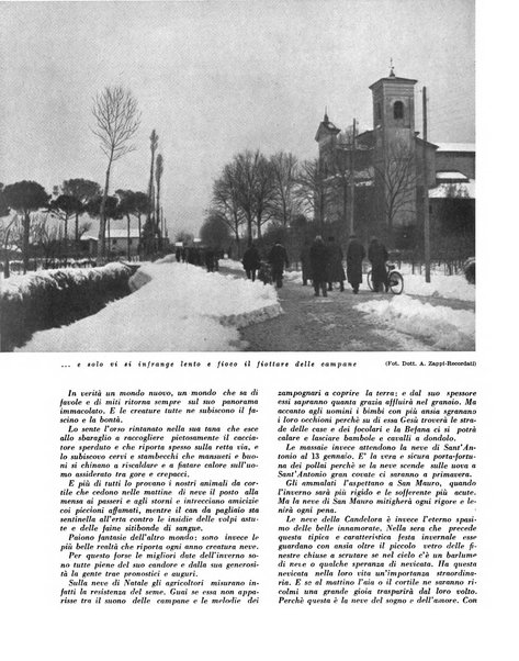 Cooperazione rurale rivista mensile