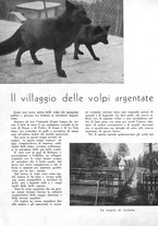 giornale/CFI0350904/1940/unico/00000032