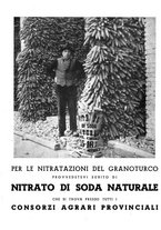 giornale/CFI0350904/1940/unico/00000052