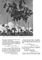 giornale/CFI0350904/1940/unico/00000080