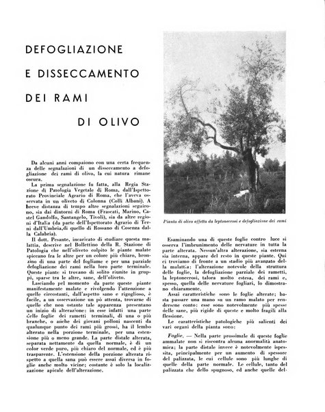 Cooperazione rurale rivista mensile