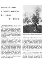 giornale/CFI0350904/1940/unico/00000113