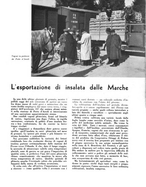 Cooperazione rurale rivista mensile