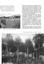 giornale/CFI0350904/1940/unico/00000133