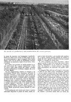 giornale/CFI0350904/1940/unico/00000134