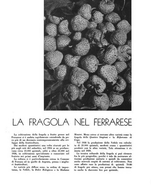 Cooperazione rurale rivista mensile