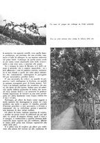 giornale/CFI0350904/1940/unico/00000179