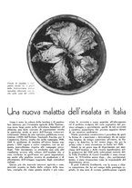 giornale/CFI0350904/1940/unico/00000372