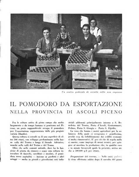 Cooperazione rurale rivista mensile