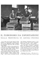 giornale/CFI0350904/1940/unico/00000413