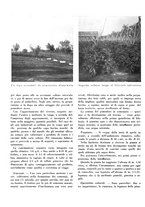 giornale/CFI0350904/1940/unico/00000414