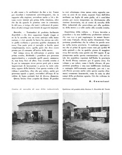 Cooperazione rurale rivista mensile