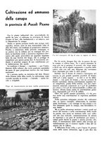 giornale/CFI0350904/1940/unico/00000456