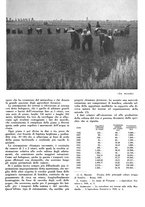 giornale/CFI0350904/1941/unico/00000029