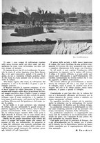 giornale/CFI0350904/1941/unico/00000031