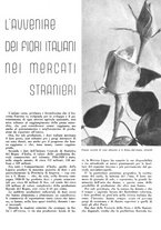 giornale/CFI0350904/1941/unico/00000063