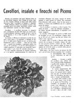 giornale/CFI0350904/1941/unico/00000066