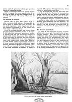 giornale/CFI0350904/1941/unico/00000075