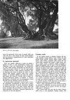 giornale/CFI0350904/1941/unico/00000076