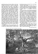 giornale/CFI0350904/1941/unico/00000077