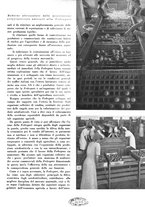 giornale/CFI0350904/1941/unico/00000161