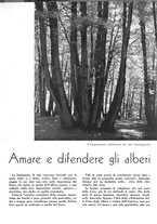 giornale/CFI0350904/1941/unico/00000197