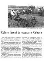 giornale/CFI0350904/1941/unico/00000207