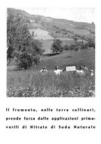 giornale/CFI0350904/1941/unico/00000232