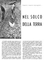 giornale/CFI0350904/1941/unico/00000256