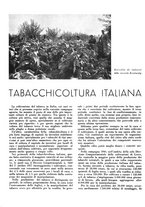 giornale/CFI0350904/1941/unico/00000300